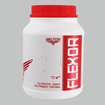 supplement on the joints Flexor 600g